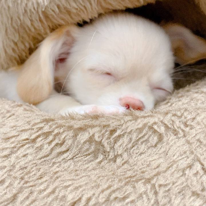 C5e50d3e d9b4 41ee 846d 98b9f8adb619 1590486332676