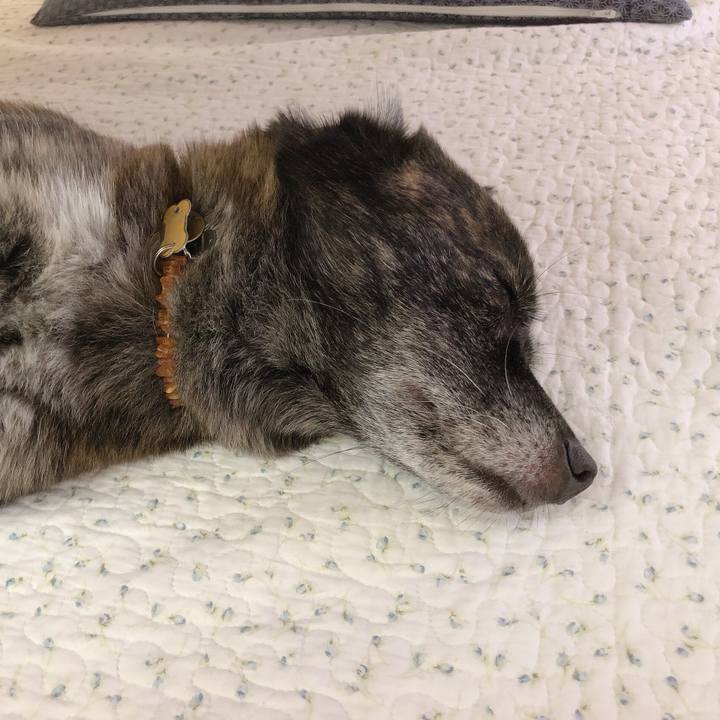 C5e54b40 b2e1 4192 b785 6274ed0c946b 1568259545991