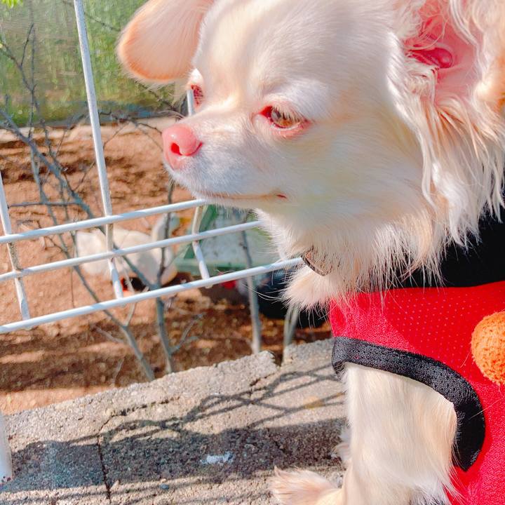 C5e55a1e 636b 488f b7dd 2ab03d109c07 1620010350295