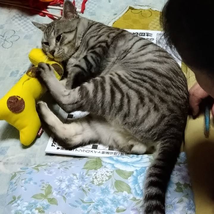 C5e56145 0857 4ede 9f3d 6a6526dfdb22 1656679990244