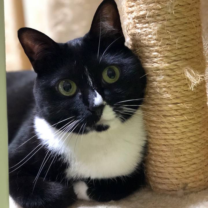 C5e56a86 dad4 4a11 85de dc6a845ea0fb 1571954264266