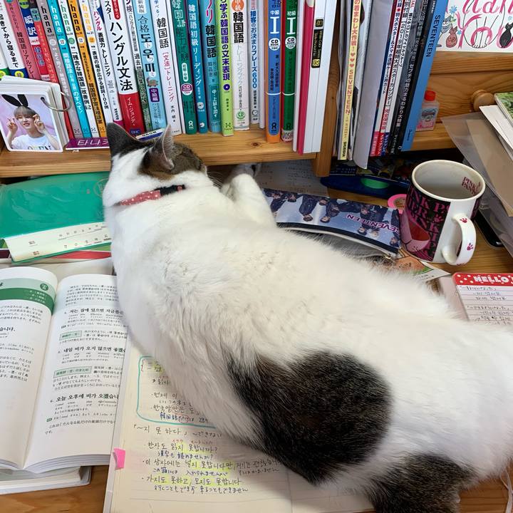 C5e5ab67 4289 4913 8df0 4e791dd22151 1593303614801