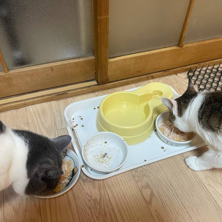 C5e5ac9a 8364 47bb a345 267bc962f717 1629023558208