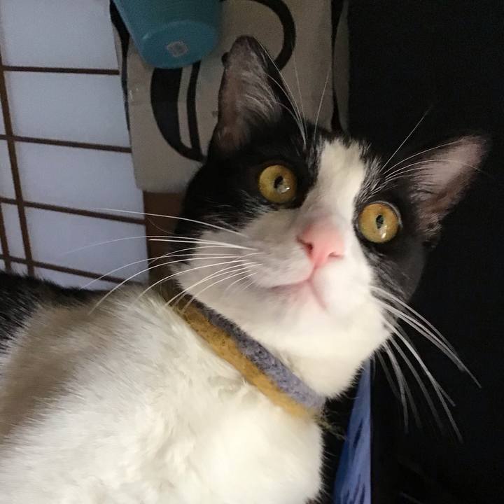 C5e5bffa 91ad 4170 851c c29acedc492a 1653637130065