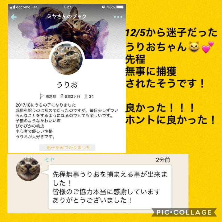 C5e5d291 5a0a 49f2 a43c 0486e4af3b9d 1544459802350