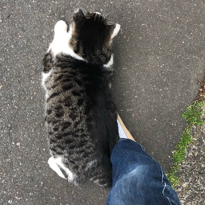 C5e5ef91 1a97 4510 91bd 2f03be54c3eb 1523928565201