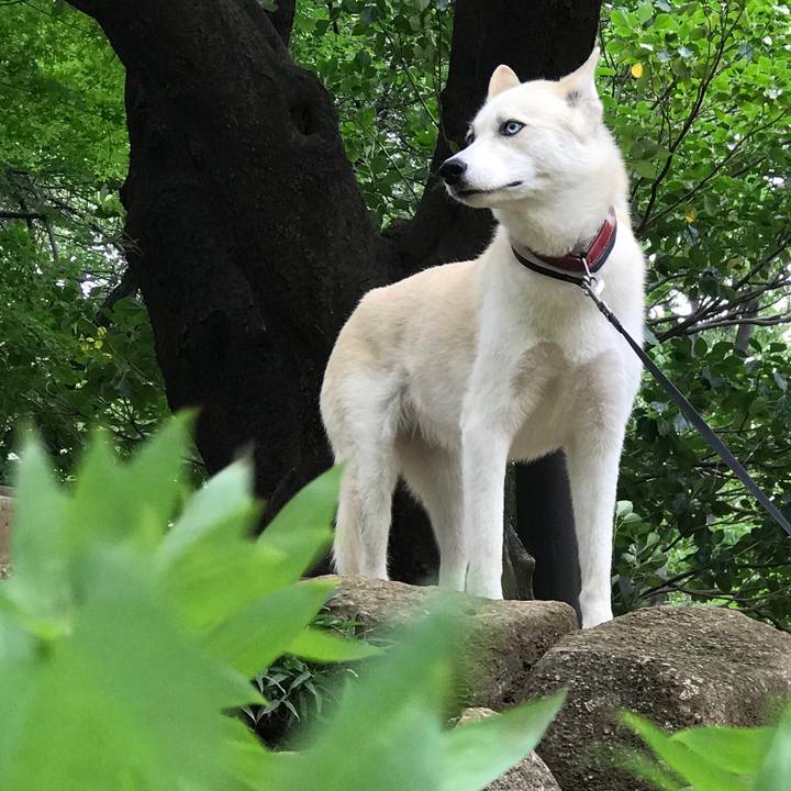 C5e6259f 1c21 471d 9b9c 68b74ca5c048 1531440718225