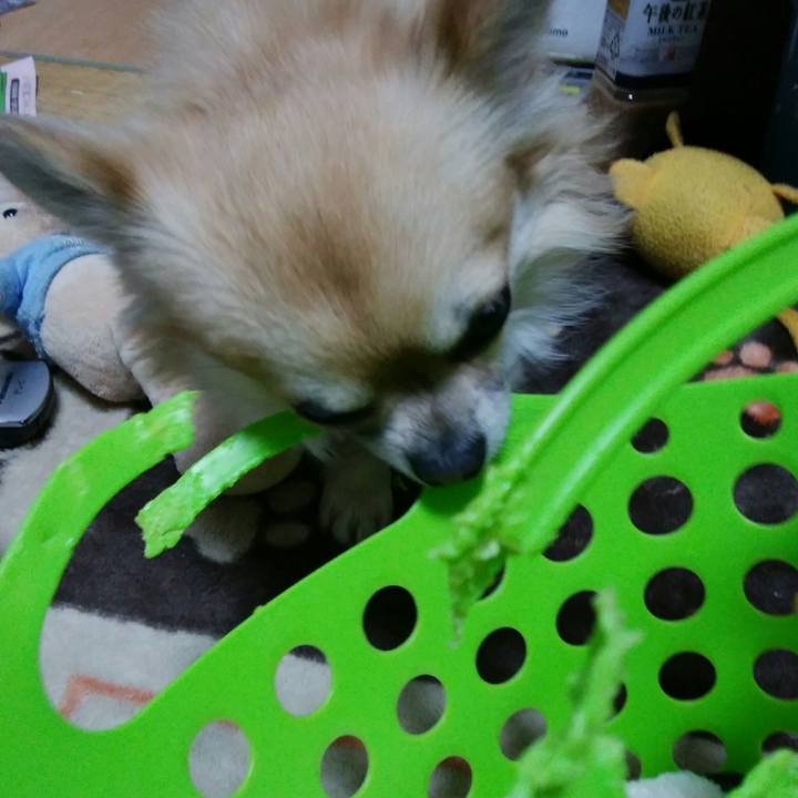 C5e63166 673b 4af5 9143 30d3683810a6 1517274009462