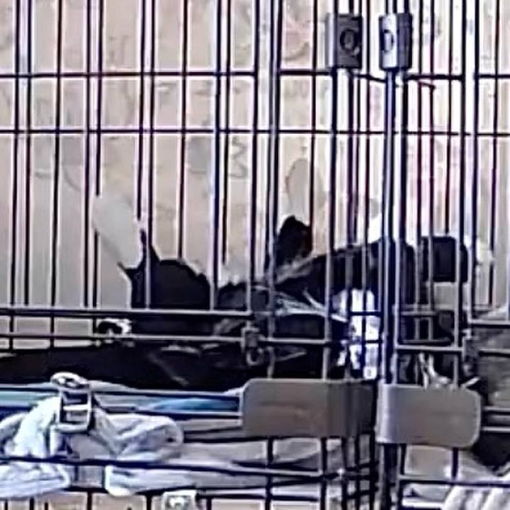 C5e6349c 8f15 41a8 9e21 49f5e1402a38 1755658217728