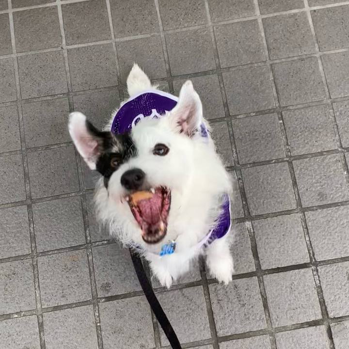 C5e63a21 c9ab 444f aab4 19769e5cc088 1725145859505