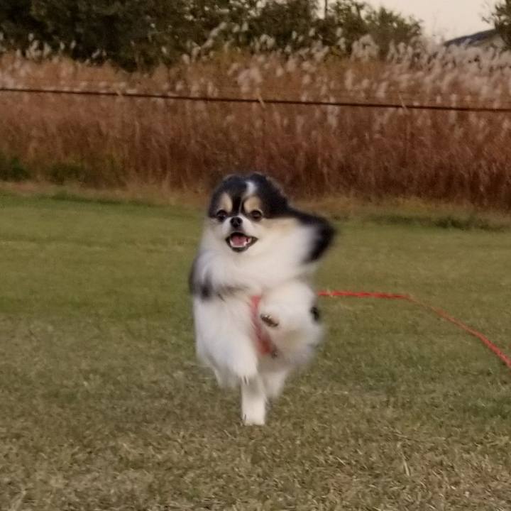 C5e6c738 1b75 44af a935 16104e1fa29d 1573998312408