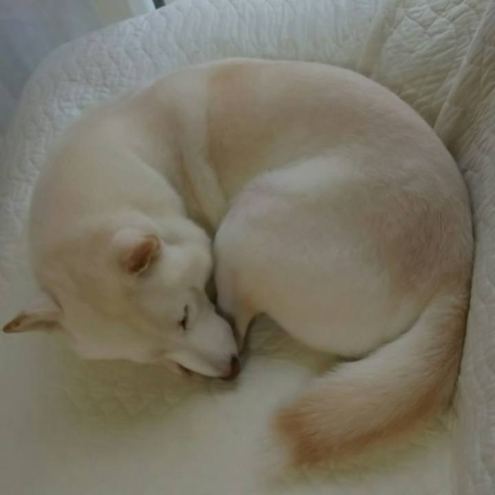 C5e6e921 ea97 4dd3 b1a7 964196d68fe4 1570580491654