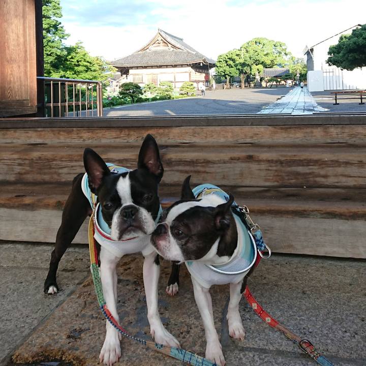 C5e7379f 7feb 462c 9661 88b4e8e96a31 1531000046129