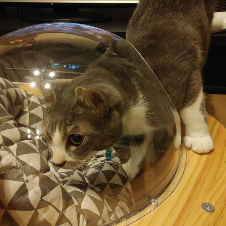 C5e73a98 3c13 42be af7f 5dab8da2c8dd 1592664266229