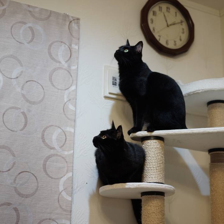 C5e745cc 863b 46b4 91a6 1dc0e75e798e 1557964812980