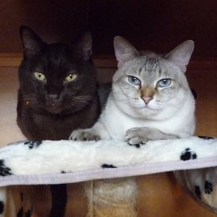 C5e7a5b5 38de 4a38 aea0 8fd79f67fa67 1616330583711