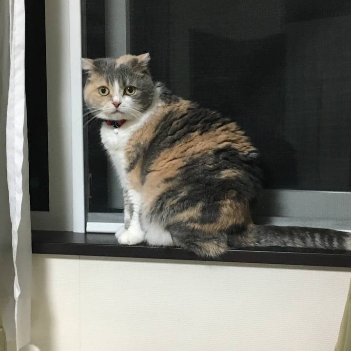 C5e7abe7 a38a 4fa1 b4a5 33d848b7abf3 1590406797362