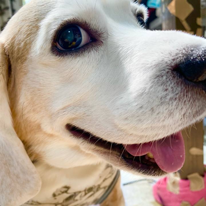 C5e7b230 912b 4d98 bb89 1bd6063e7d32 1649646790248