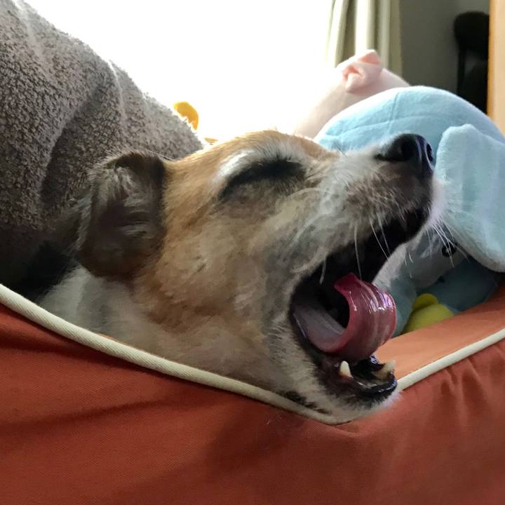 C5e80e34 3cd1 456a b70b efefac50b784 1568617231688