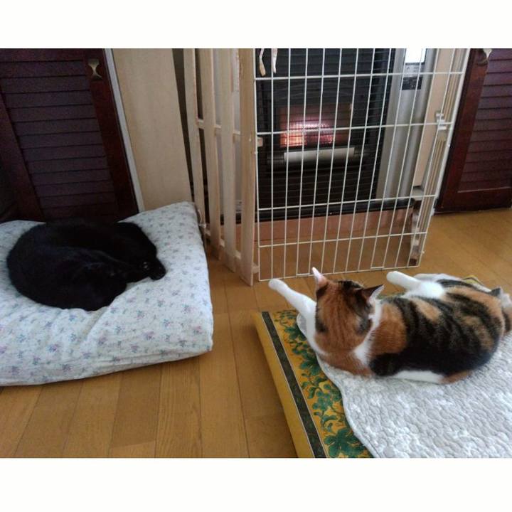 C5e83097 4362 46d3 ad10 fef303bf0573 1619082910768