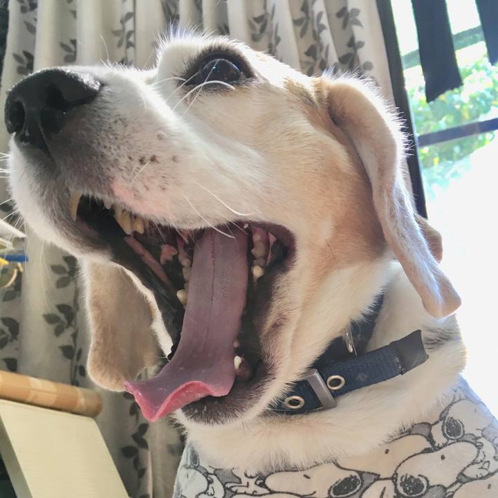 C5e842ae 461a 451c 9244 bdac83301e6c 1555300580775