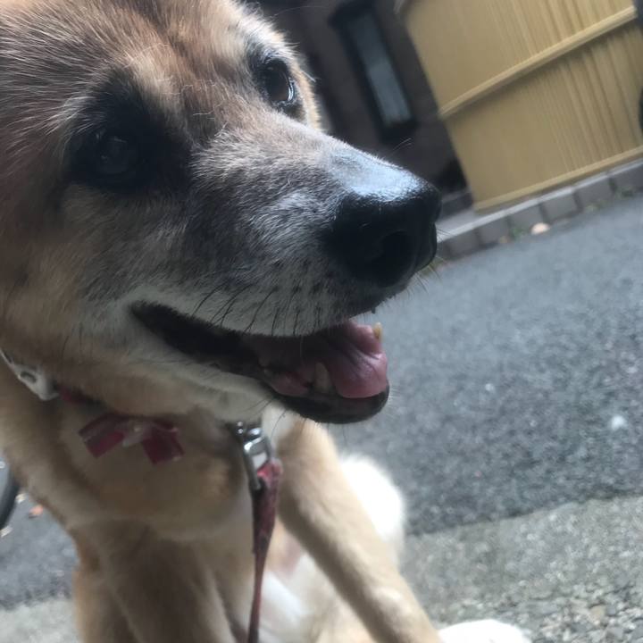 C5e87654 cfd2 4a96 838f 88021afad1f5 1530054393837