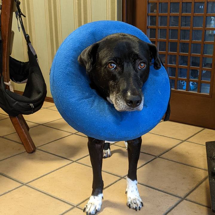 C5e88c46 ac84 4011 8540 8f41dcb9603f 1691628601455