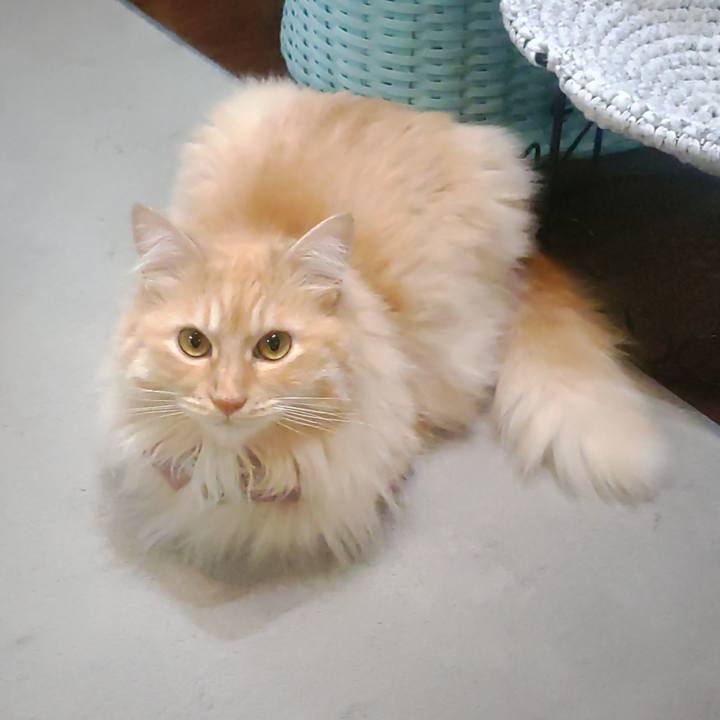 C5e8a8bb e11d 438e bc34 7c6afae314b9 1718966902671