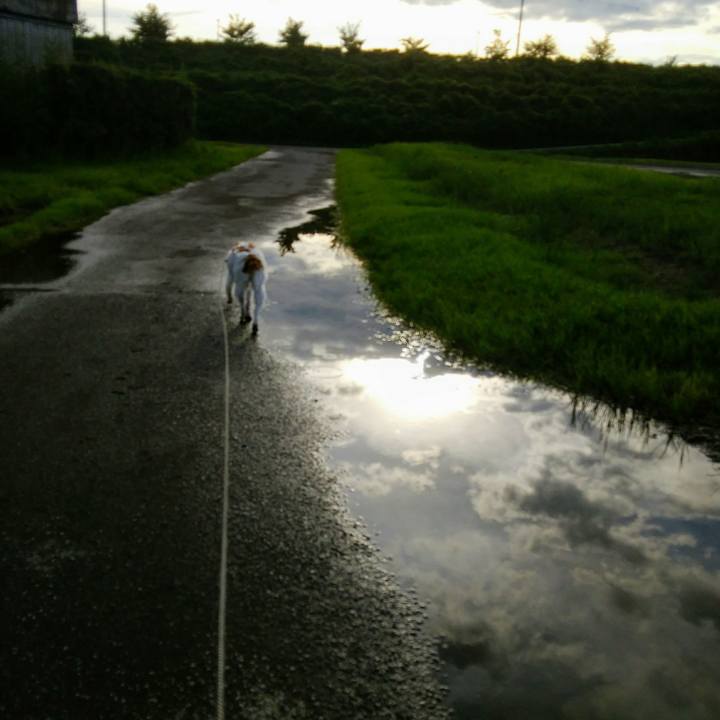 C5e8b7d3 8ed5 48e4 ad8f 000de0fe6e63 1534246620744