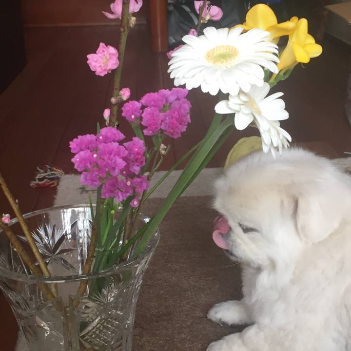 C5e8d19f 4874 40af b5be eb338b290e7d 1520056002716