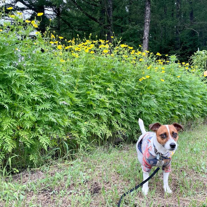 C5e8f944 b2ec 4f19 bb99 4c47a469c677 1629014723982