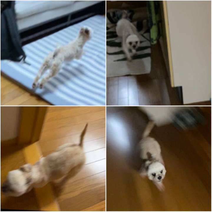 C5e9014a da96 4858 b78f 14078342bd3b 1593605325181