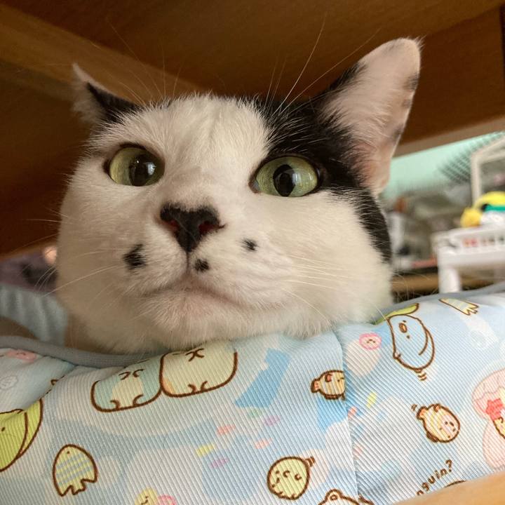 C5e91fd9 bcf1 46de b2c9 fe93d1e02248 1758405781653