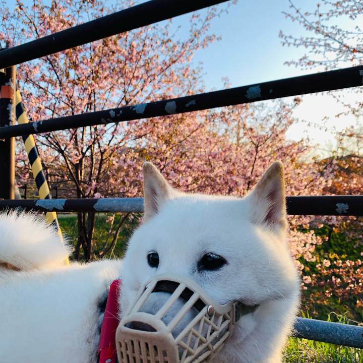 C5e93e38 dad6 4cfc b18d 240956421fb2 1651094557634