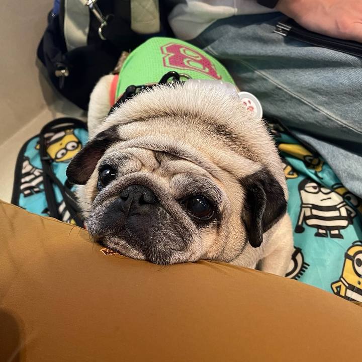 C5e94034 3c6c 4602 bc83 50f985395cb1 1761526534080