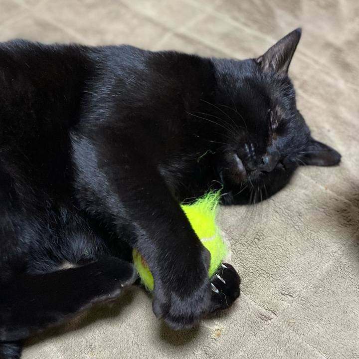 C5e95e8a 0658 4f6c afd1 e4ffa789d147 1608874390608