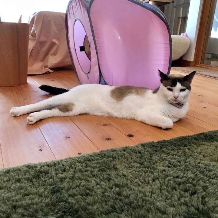 C5e99922 5449 4528 8861 f6e14b3e1c60 1538102029006