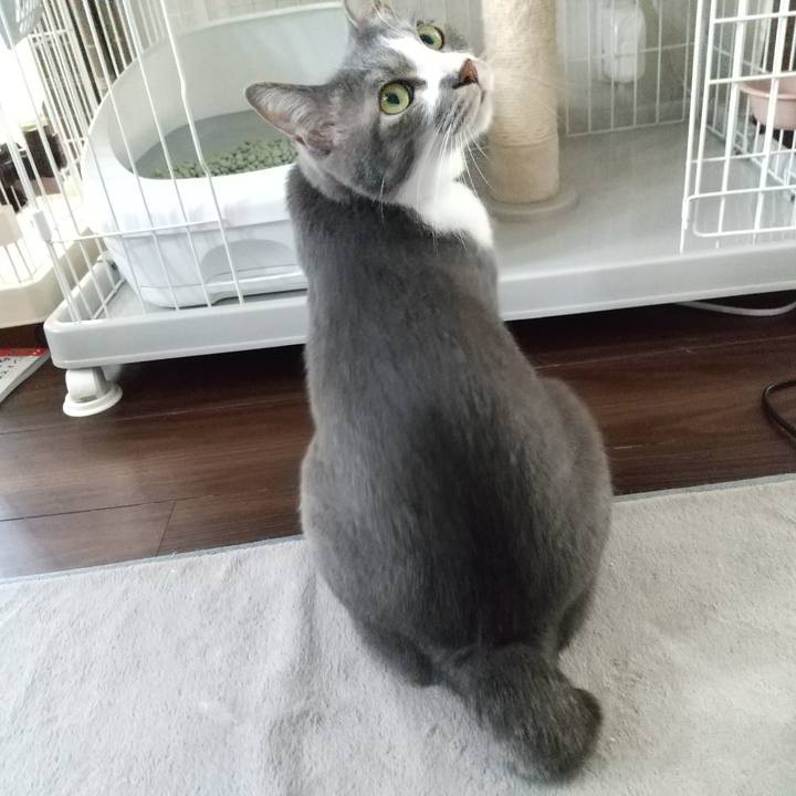 C5e99c6a b471 4d27 8779 2c5b026ff79a 1621826708567