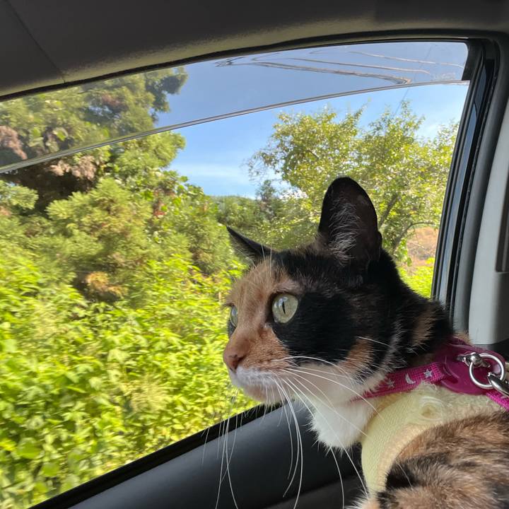 C5e9c0d7 80f6 48e4 a8e4 1c50781e036d 1662337439957