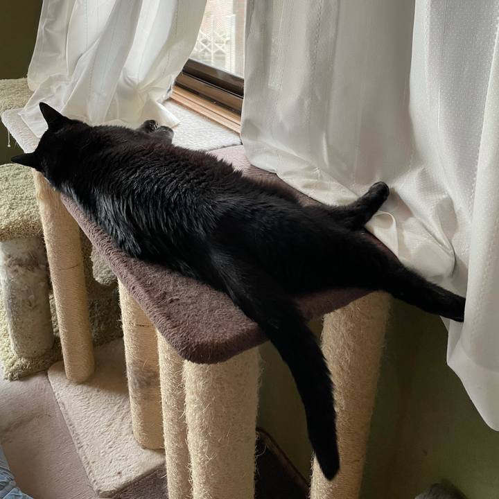 C5e9cd70 865c 4ca5 8dcb b39367ea2201 1624845106423