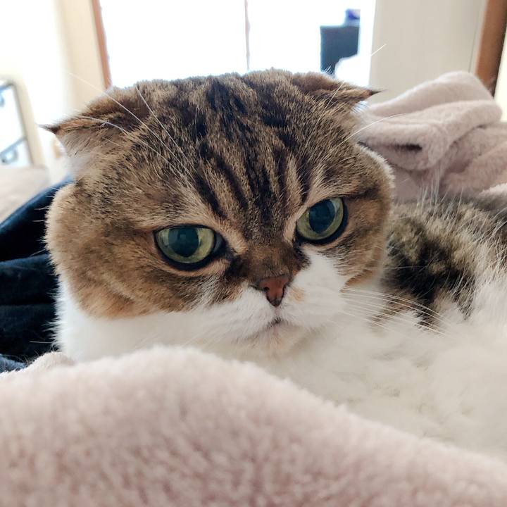 C5e9e3dd 56c5 46ed 9de5 e6a7aec74ad8 1573368198511