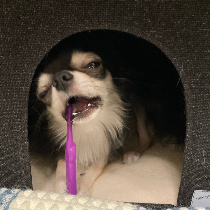 C5e9f04f 75dd 45e8 a3f5 c77b5ac476cb 1665410057092