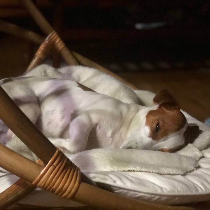 C5ea41ad a835 451b bf50 52cb31b693b9 1558697381929