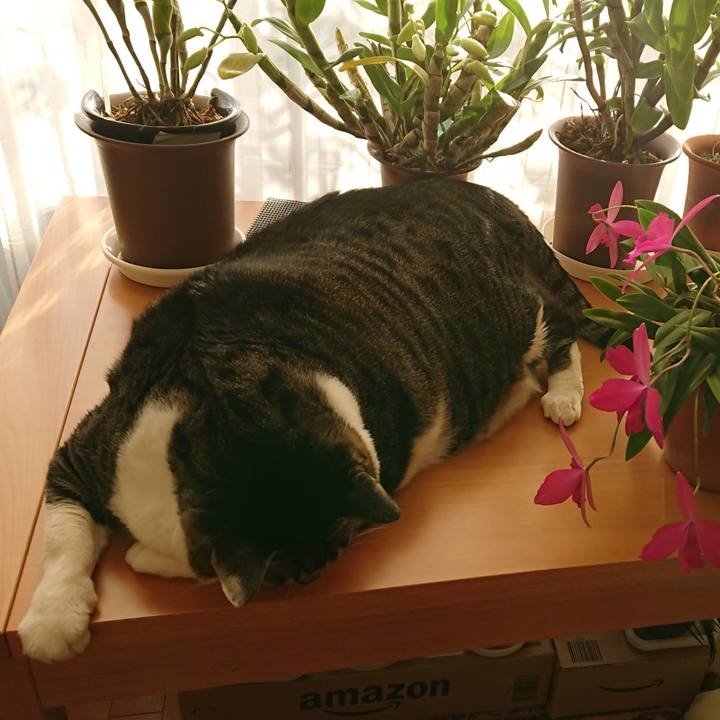 C5ea8fab d6b7 4a87 a9ab aca578caf52d 1548286773845