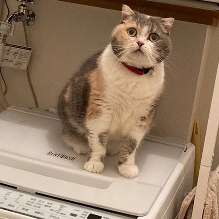 C5eab159 bd3c 4c8a be82 6c33551e46d4 1668947520675