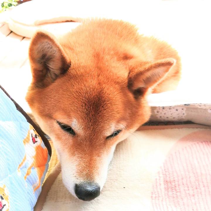 C5eabc57 5aba 4b8a b598 6d3faf1a55c1 1620281219447