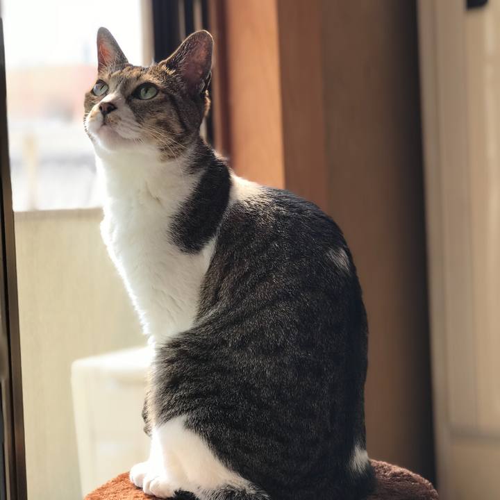 C5eacac9 6786 4f11 b515 f024061e2ba7 1524360475549