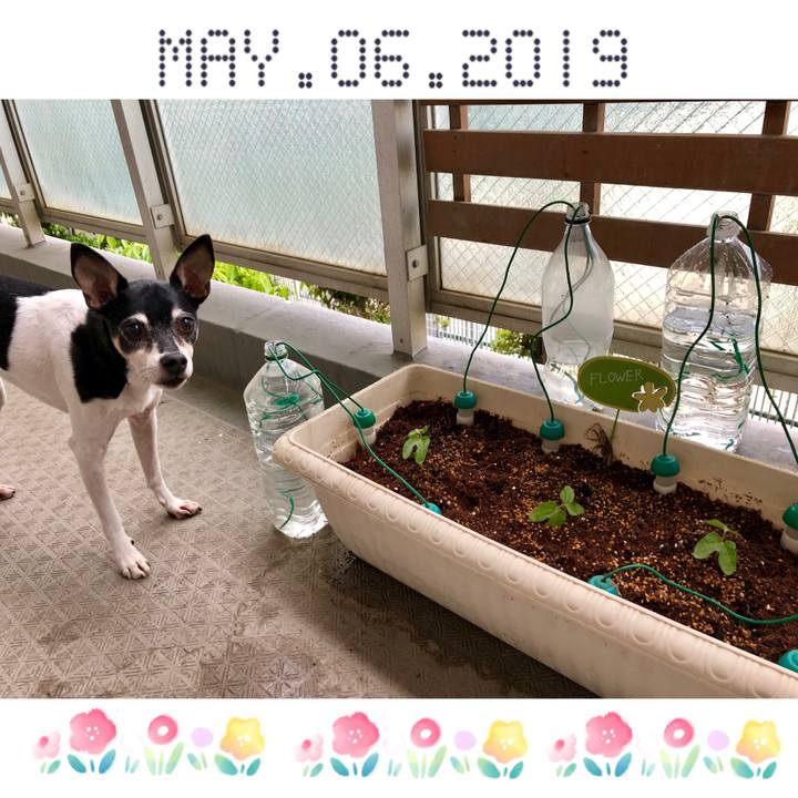 C5ead17d 5f50 4f36 845b 9fc000fafe9c 1557134637072