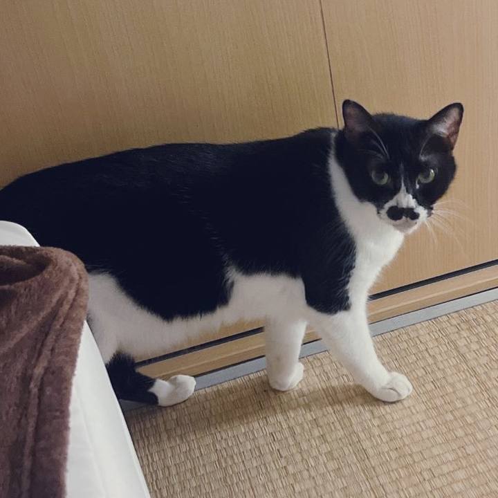 C5eaf3dd 433d 4747 af9b 508fb80892f0 1660735271908