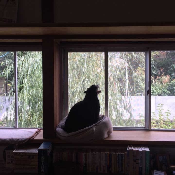 C5eafc29 df78 4fca 9717 1ada8a02353a 1539489004068